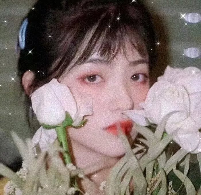 东西的故事